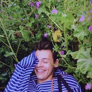 Meet your Posher, Arwen